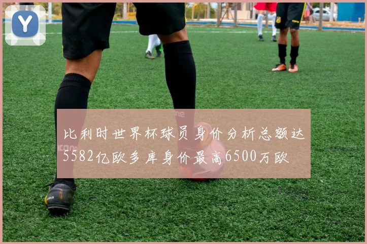 比利时世界杯球员身价分析总额达5582亿欧多库身价最高6500万欧